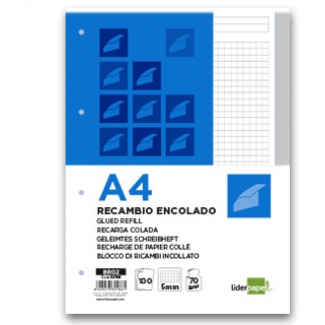 Liderpapel BR02 - Recambio para carpeta de anillas, tamaño A4, 100 hojas de 70 gr, 4 taladros, cuadrícula de 5 mm, con banda de color gris
