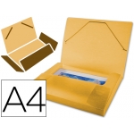 Liderpapel - Carpeta portadocumentos, lomo rígido de 25 mm, polipropileno, A4, color naranja