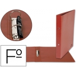 Liderpapel CA04 - Carpeta cartón cuero, 2 anillas mixtas de 25 mm, tamaño folio