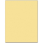 Guarro 200040219(0040219) - Cartulina, 50 x 65 cm, 185 gr/m2, color crema