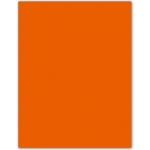 Guarro 200040223(0040223) - Cartulina, 50 x 65 cm, 185 gr/m2, color mandarina