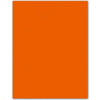 Guarro 200040223(0040223) - Cartulina, 50 x 65 cm, 185 gr/m2, color mandarina