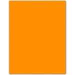 Guarro 200040224 (0040224) - Cartulina, 50 x 65 cm, 185 gr/m2, color naranja