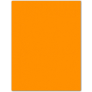 Guarro 200040224 (0040224) - Cartulina, 50 x 65 cm, 185 gr/m2, color naranja