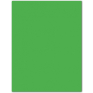 Guarro 200040237 - Cartulina, 50 x 65 cm, 185 gr/m2, color verde manzana
