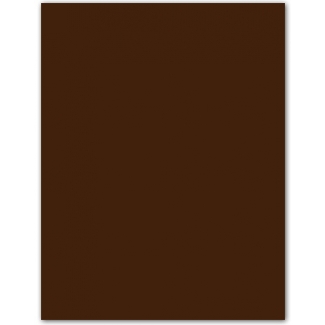 Guarro 200040242 - Cartulina, 50 x 65 cm, 185 gr/m2, color marrón