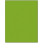 Guarro 200040210 - Paquete de 50 cartulinas, A3, 185 gr/m2, color verde amazona