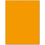 Guarro 200040187 - Paquete de 50 cartulinas, A3, 185 gr/m2, color mandarina