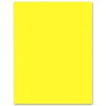 Liderpapel CX02 - Cartulina, 50 x 65 cm, 240 gr/m2, color amarillo