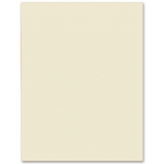 Liderpapel CX13 - Cartulina, 50 x 65 cm, 240 gr/m2, color sepia