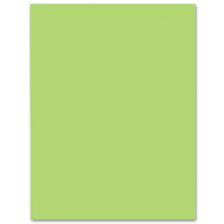 Liderpapel CX16 - Cartulina, 50 x 65 cm, 240 gr/m2, color verde hierba