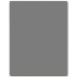 Liderpapel CX47 - Cartulina, 50 x 65 cm, 240 gr/m2, color gris