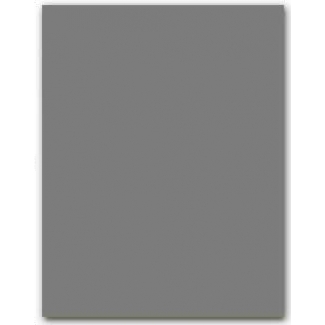 Liderpapel CX47 - Cartulina, 50 x 65 cm, 240 gr/m2, color gris