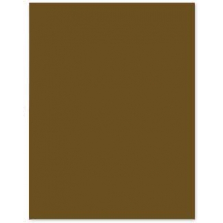 Liderpapel CX46 - Cartulina, 50 x 65 cm, 240 gr/m2, color marrón