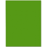 Liderpapel CX48 - Cartulina, 50 x 65 cm, 180 gr/m2, color verde navidad