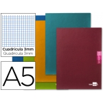 Liderpapel Scriptus LB16 - Libreta grapada, tamaño A5+, tapa blanda, 48 hojas de 90 gr, cuadrícula de 3 mm, con margen, colores surtidos