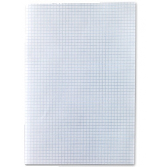 Liderpapel PF01 - Papel florete, 31 x 42,8, cuadrícula de 4 mm, 60 gramos, paquete de 250 hojas