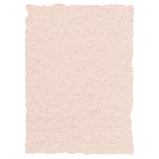 Michel 2608 - Papel pergamino, A4, 150 gr, paquete de 25 hojas, color humo