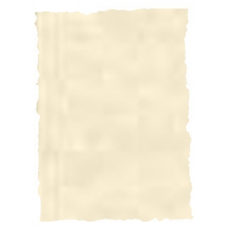 Michel 2606 - Papel pergamino, A4, 125 gr, paquete de 25 hojas, piel elefante color hueso