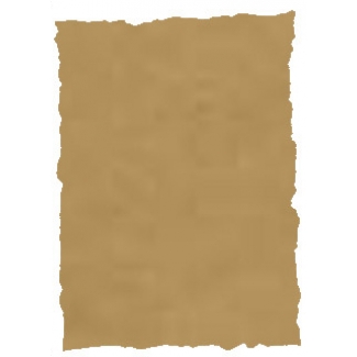 Michel 2607 - Papel pergamino, A4, 125 gr, paquete de 25 hojas, piel elefante color pergamino
