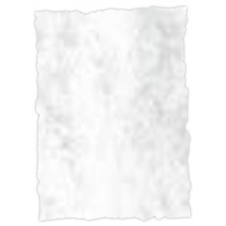 Michel 2610 - Papel pergamino, A4, 200 gr, paquete de 25 hojas, marmoleado gris