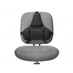 Respaldo ergonómico profesional Fellowes