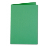 Liderpapel SC10 - Subcarpeta de cartulina, folio, 185 gr /m2, color verde intenso