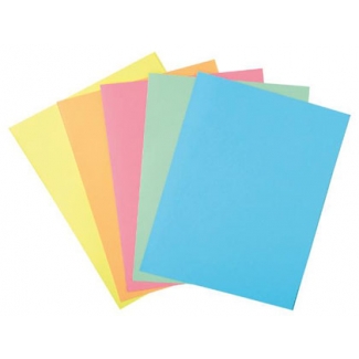 Liderpapel SUB-FSURT - Subcarpeta de cartulina, folio, 185 gr/m2, paquete de 25, colores surtidos