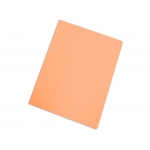 Elba Gio - Subcarpeta de cartulina, Folio, 180 gr/m2, color naranja pastel