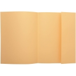 Exacompta 348025E - Subcarpeta de cartulina con solapa interior, A4, 160 gr/m2, color crema