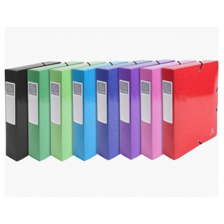 Exacompta 50629E - Carpeta de proyectos con gomas, tamaño A4, lomo de 60 mm, colores surtidos