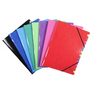 Exacompta 541229E - Carpeta clasificadora con gomas, tamaño A4, 12 departamentos, colores surtidos