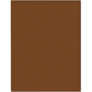 Liderpapel CT43 - Cartulina, 50 x 65 cm, 180 gr/m2, color marrón