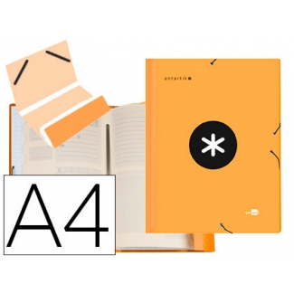 Liderpapel Antartik AW25 - Carpeta clasificadora con gomas, una solapa, tamaño A4, 12 departamentos, color naranja
