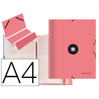 Liderpapel Antartik AW254 - Carpeta clasificadora con gomas, una solapa, tamaño A4, 12 departamentos, color coral