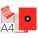 Liderpapel Antartik AW26 - Carpeta clasificadora con gomas, una solapa, tamaño A4, 12 departamentos, color rojo