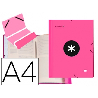 Liderpapel Antartik AW27 - Carpeta clasificadora con gomas, una solapa, tamaño A4, 12 departamentos, color rosa fluorescente
