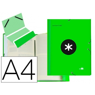 Liderpapel Antartik AW29 - Carpeta clasificadora con gomas, una solapa, tamaño A4, 12 departamentos, color verde fluorescente