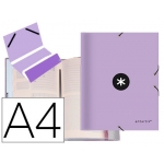 Liderpapel Antartik AW55 - Carpeta clasificadora con gomas, una solapa, tamaño A4, 12 departamentos, color lavanda