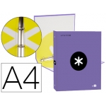 Liderpapel Antartik KA49 - Carpeta de anillas, 4 anillas redondas de 25 mm, cartón forrado, tamaño A4, color violeta