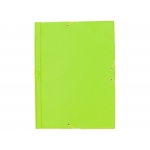 Liderpapel CG84 - Carpeta de plástico con gomas, con tres solapas, lomo flexible, tamaño folio, color verde pistacho
