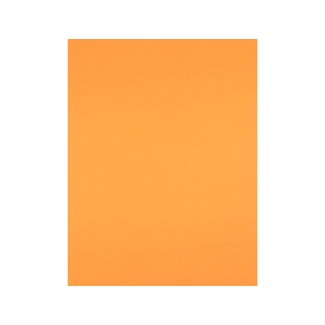 Liderpapel CT42 - Cartulina, 50 x 65 cm, 180 gr/m2, color mandarina