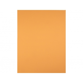 Liderpapel CT56 - Cartulina, 50 x 65 cm, 240 gr/m2, color avellana
