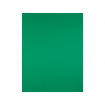 Liderpapel CX15 - Cartulina, 50 x 65 cm, 240 gr/m2, color verde navidad