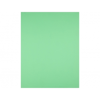 Liderpapel CX51 - Cartulina, 50 x 65 cm, 180gr/m2, color verde pistacho