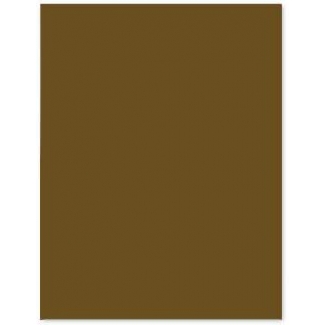 Liderpapel CX55 - Cartulina, 50 x 65 cm, 240 gr/m2, color marrón claro