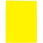 Liderpapel EC61 - Carpeta con fundas, tapa flexible, A4, 10 fundas, color amarillo fluorescente opaco