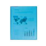 Liderpapel EC93 - Carpeta con fundas, tapa flexible, A4, 80 fundas, color azul translúcido