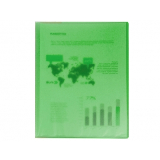 Liderpapel EC95 - Carpeta con fundas, tapa flexible, A4, 80 fundas, color verde translúcido