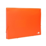 Liderpapel FU37- Carpeta clasificadora con fuelle, polipropileno, tamaño A4, 13 departamentos, color naranja fluorescente